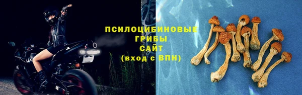 экстази Алзамай